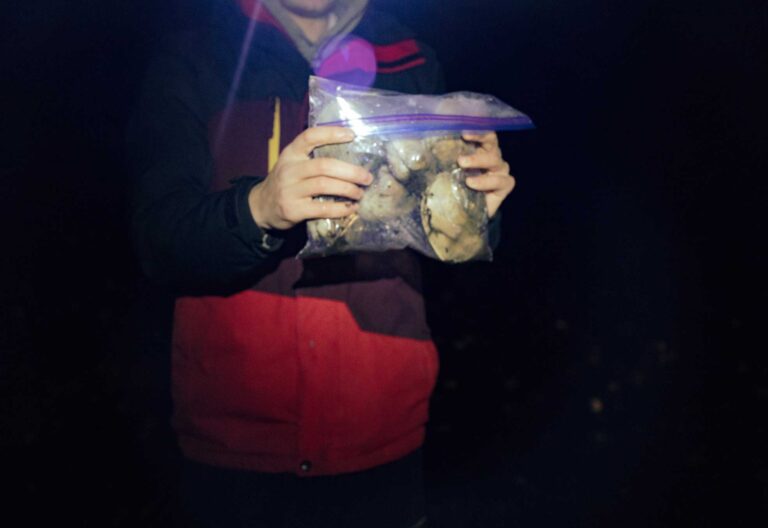 fuzzy shot of a bag of shelled clams, large, on the dark beach, held by person in red and black jacket