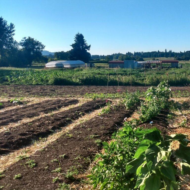 A scene from Black Futures Farm with tilled land in the foreground and a greenhouse in the background