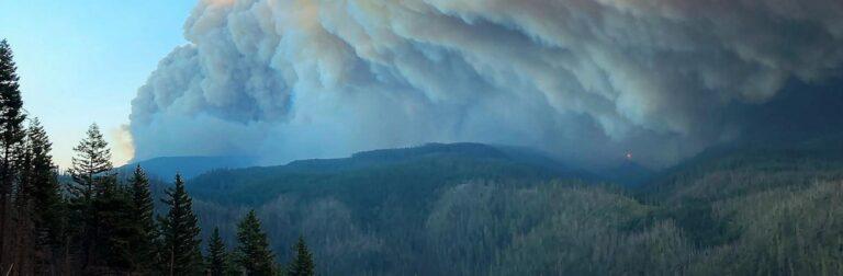 A column of smoke over a forested hills