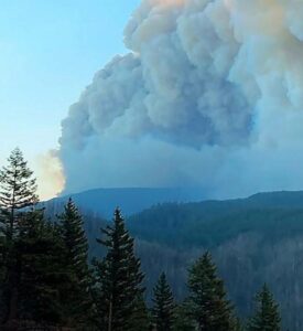 A column of smoke over a forested hills