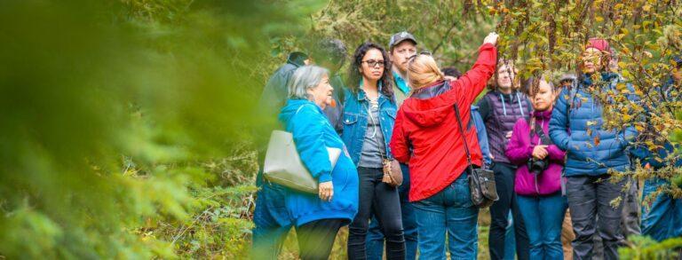 Surrounded by trees, a small group of people gather around a woman wearing a red jacket. Her arm is raised, holding a branch that everyone is looking at.