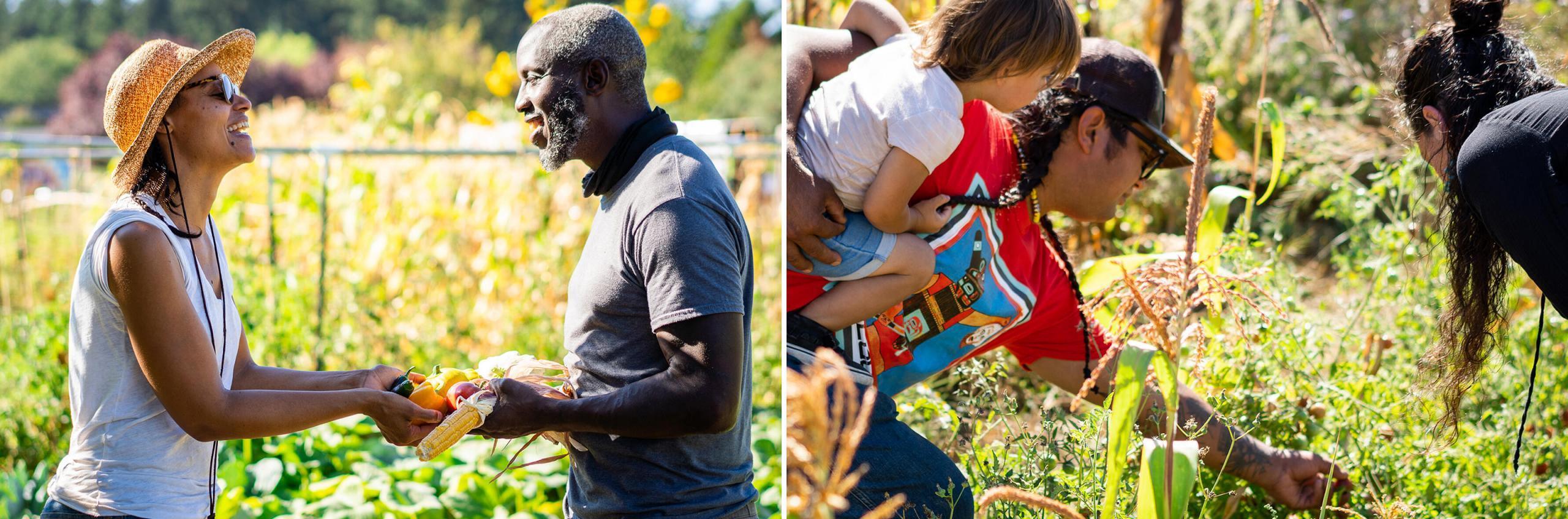 Two side-by-side photos. The left photo shows a woman and a man smiling joyously towards each other, holding vegetables between their extended hands. The right photo shows a man carrying a small child in one arm and picking plant matter with his other arm, while a woman leans in to see what he is picking.