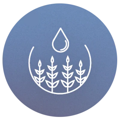 A digital illustration of a water drop hovering above four plants