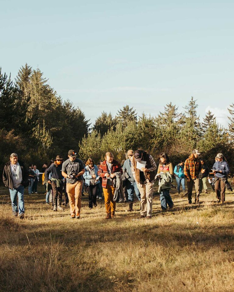 mid-sized group of people walking together in a forested setting, sunlight