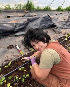 Farmer working in hoop house