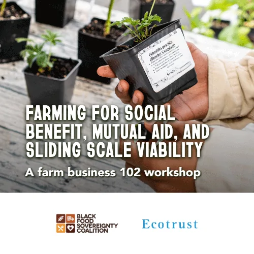 Hands holding seedling