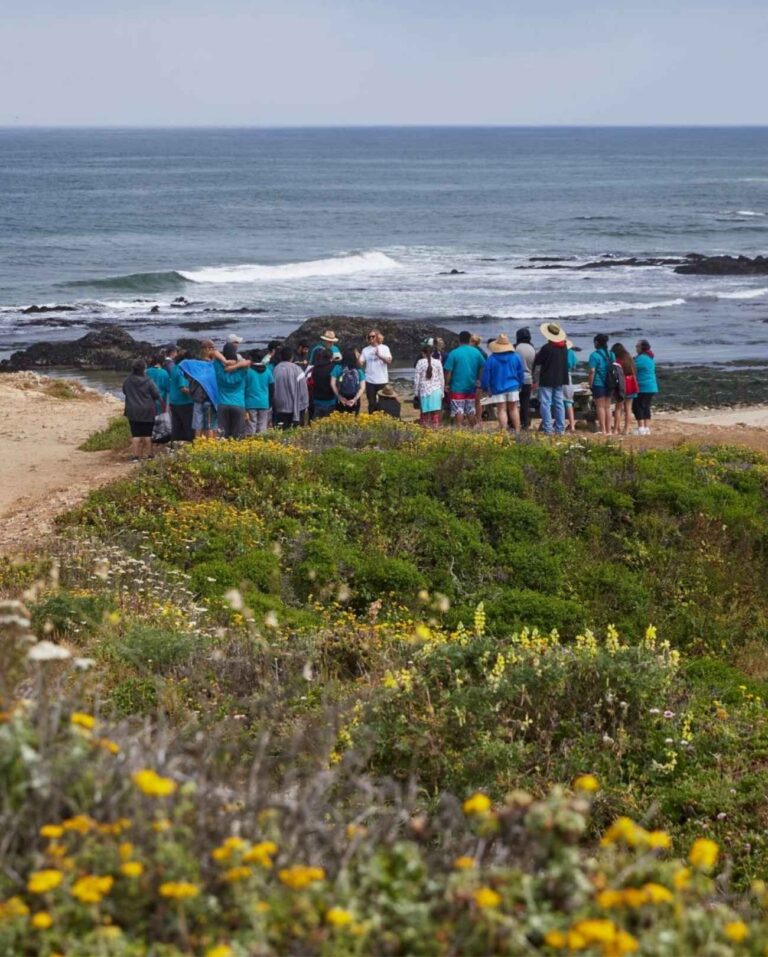 People gathered at a beach
