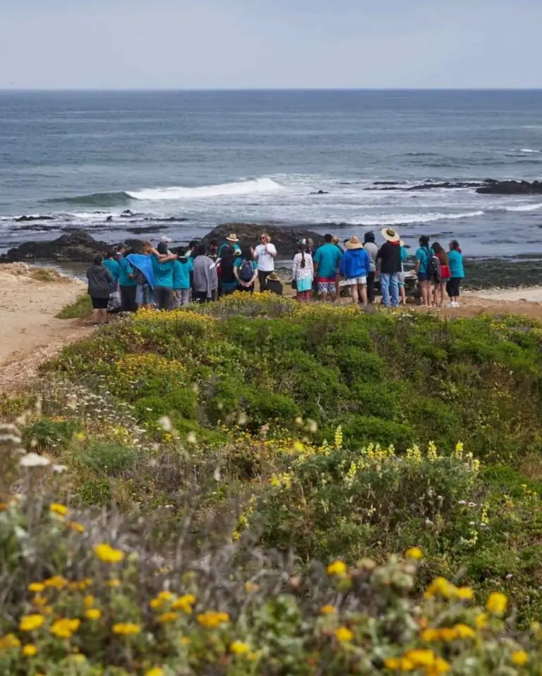 People gathered at a beach