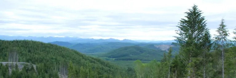 Layers of Cascade moutains, green with conifers in the foreground, fading to blue, sharper peaks with a hit of snow