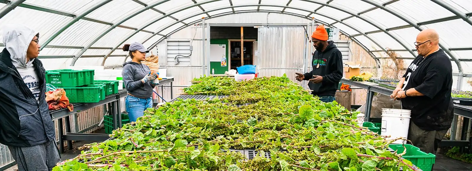 2018 participants inside a greenhouse at Unity Farms, with Mudbone Grown co-owner Arthur Shavers and The Blueprint Foundation instructor Jason Stroman. Photo by Noah Thomas