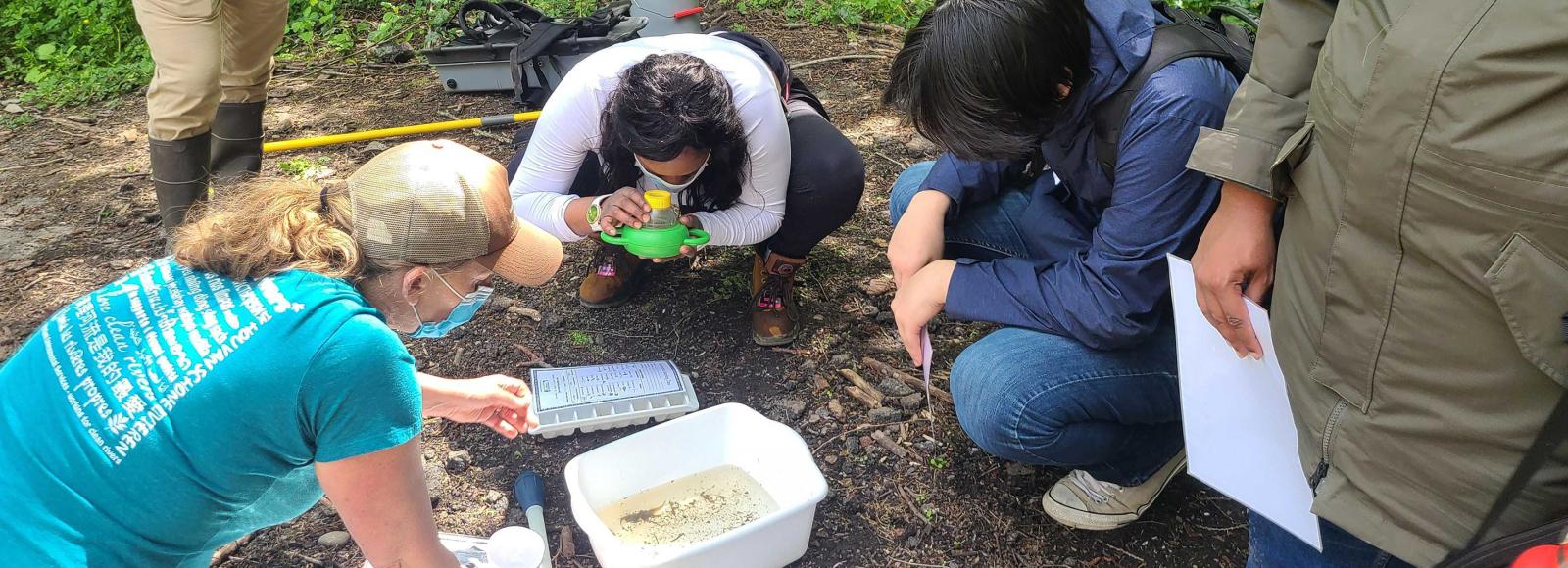 2021 participants examine macroinvertebrates during a field training with City of Portland Bureau of Environmental Services.