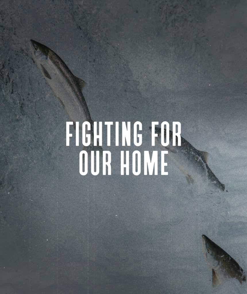 An image of salmon swimming up a waterfall. Text reads "Fighting for our Home"