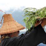 Person wearing woven hat holds up cedar branches, outside in front of foggy waterway