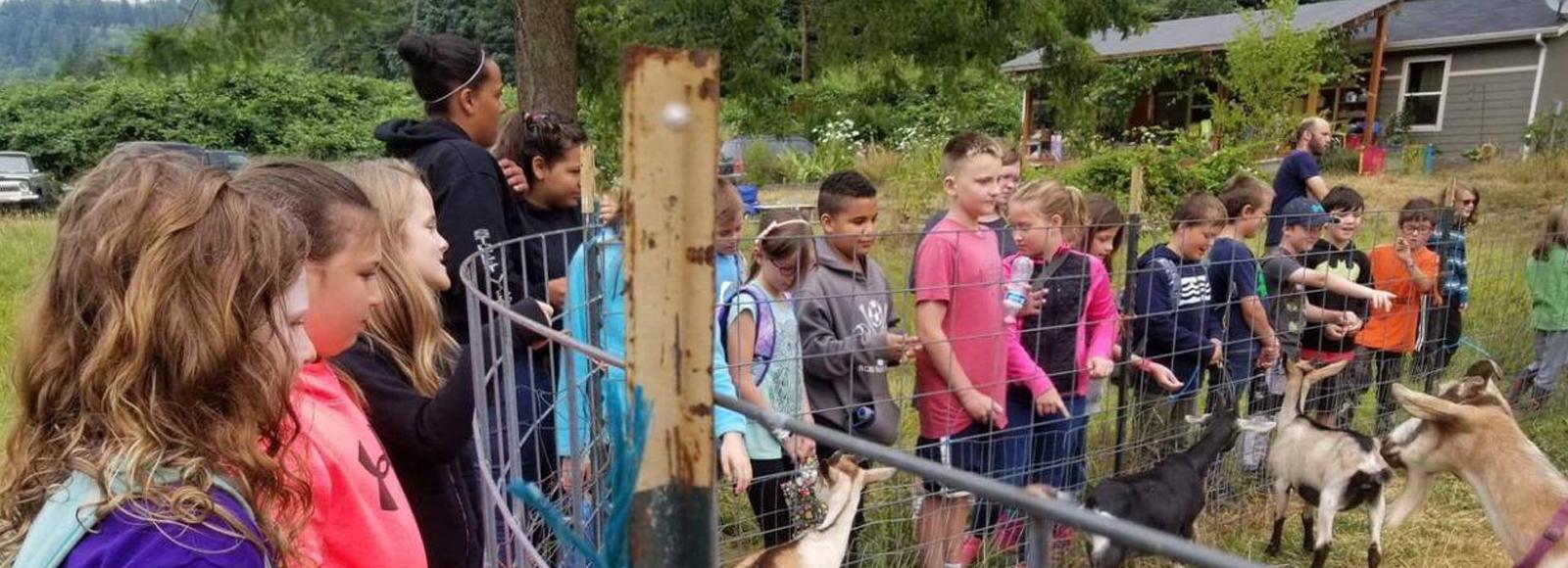 Group of kids stands near a fenced area looking at goats.