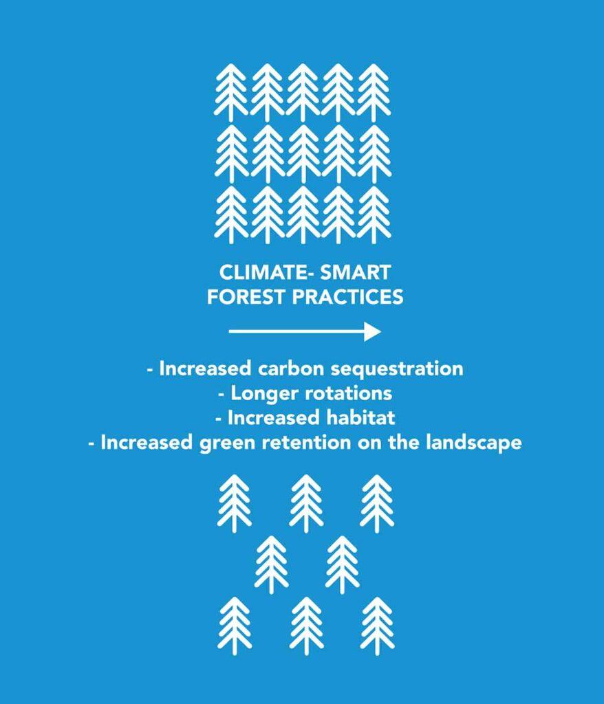 A graphic listing the benefits of climate-smart forestry practices