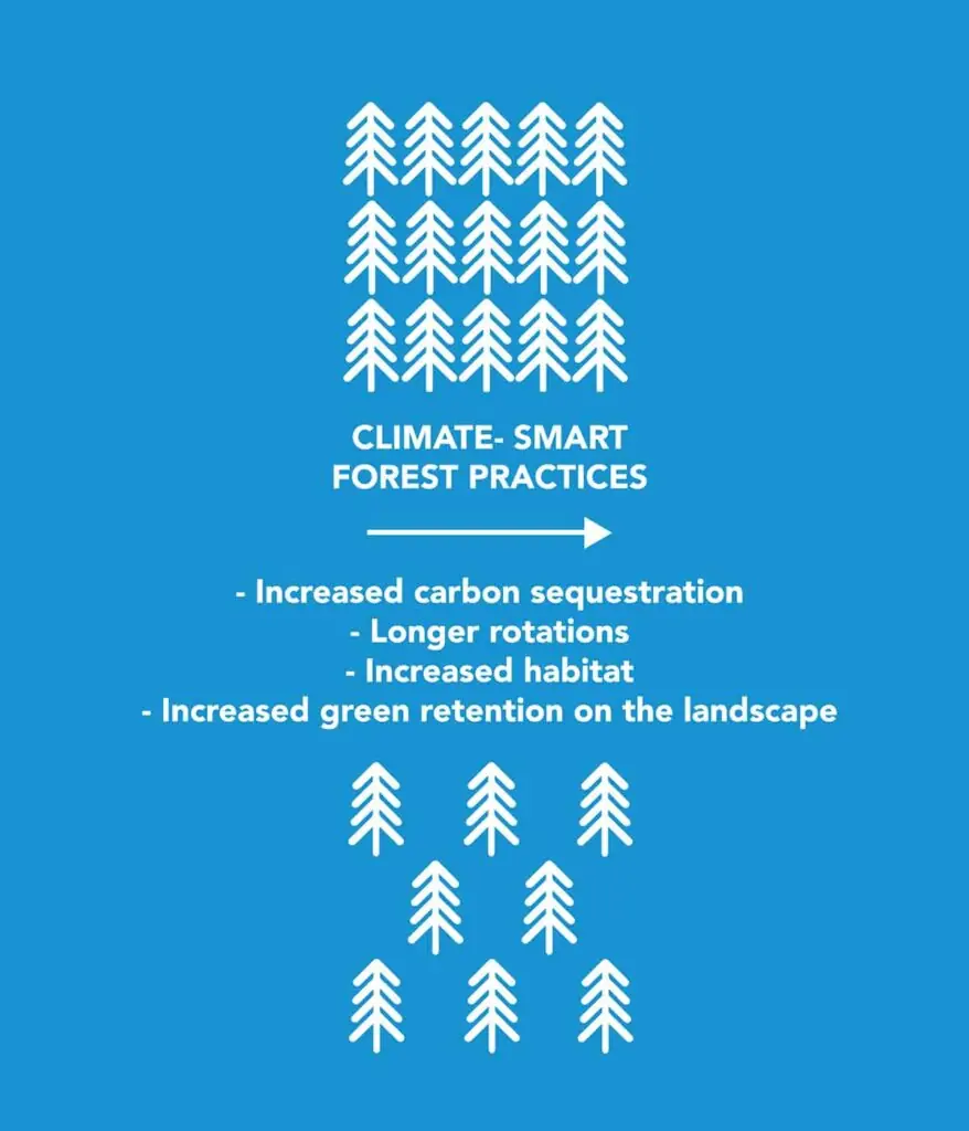 A graphic listing the benefits of climate-smart forestry practices