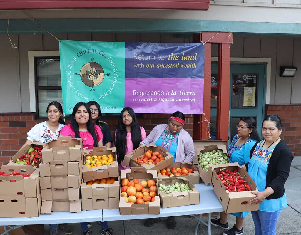 Anahuac_Nuevo-Amanecer-community-fall-harvest