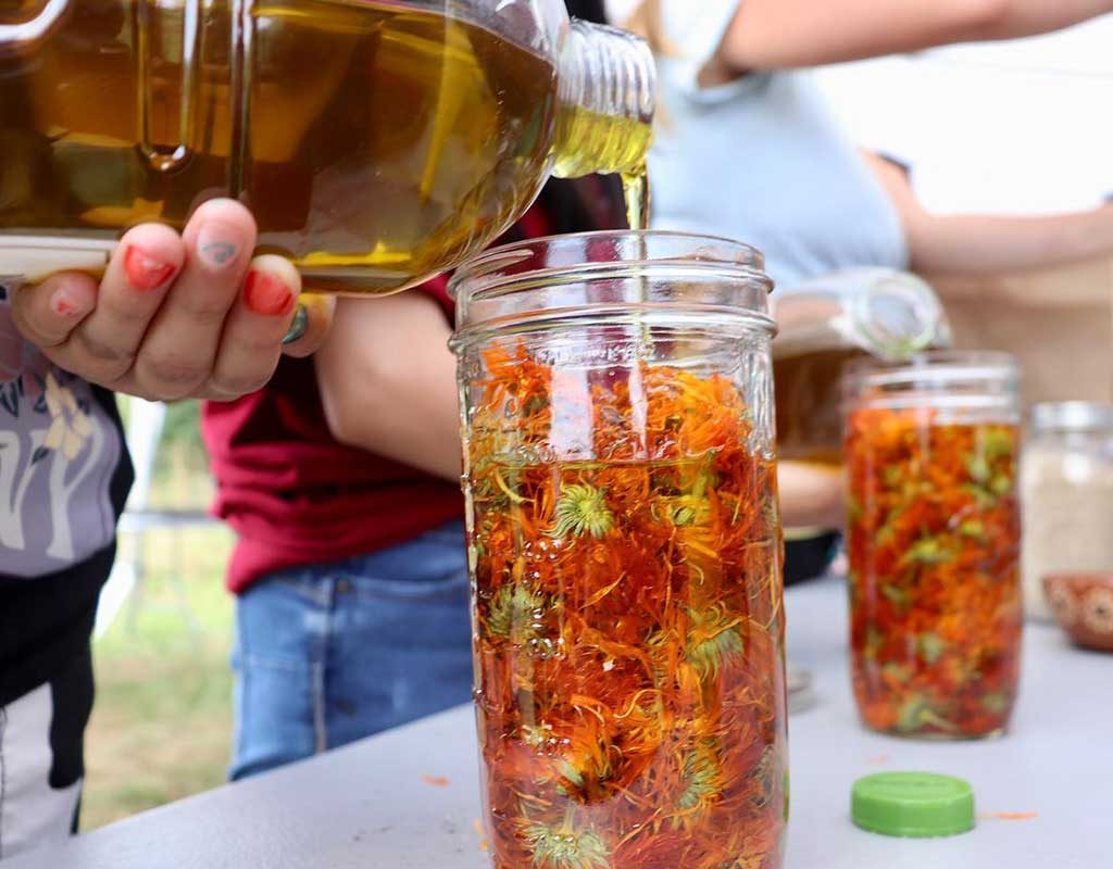 Anahuac_herbal-workshop