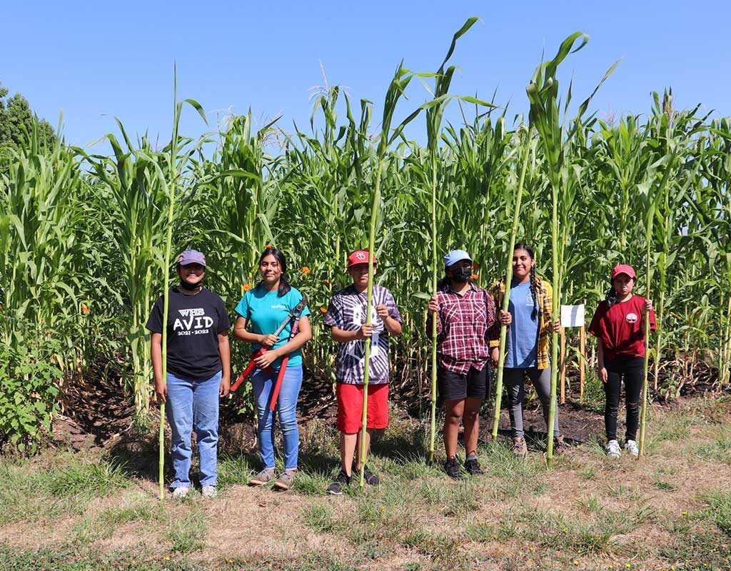 Anahuac_plant-identification