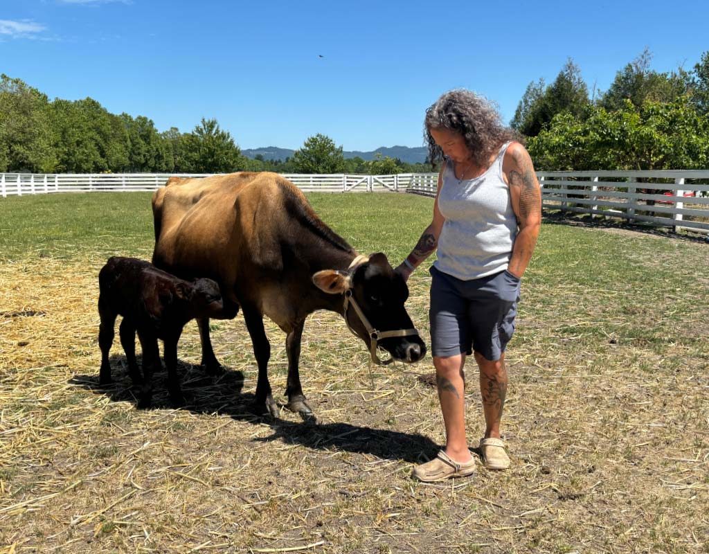 Beth_Froembling_Cows1_2025_web