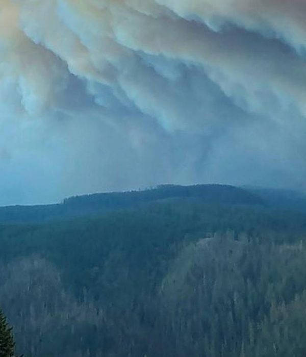 A wall of smoke rises over Mt. Hood National Forest, Ore. during this year's unprecedented wildfire season. Our work in climate-smart forestry aims to increase our region’s resilience to a changing climate and the increasing risk of devastating wildfire. Photo courtesy of Mt. Hood National Forest