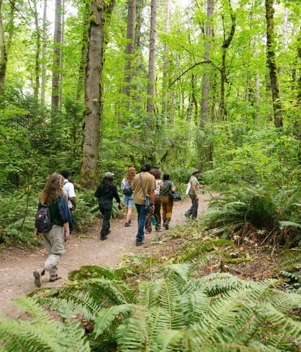 small group of people hiking in green forest