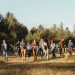 mid-sized group of people walking together in a forested setting, sunlight