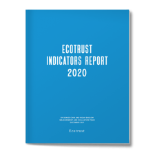 Indicators_Report_2020_comp_500px