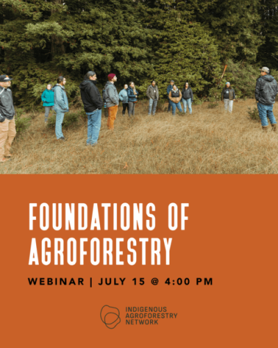 Social Rooted Resilience Management, Stewardship & Conservation (Instagram Post (45))