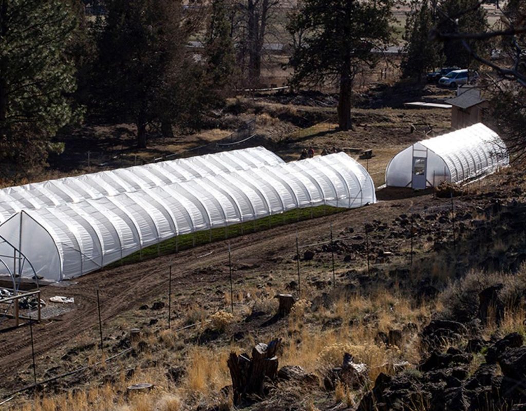 A photo of four large white greenhouses surrounded by trees in the high desert