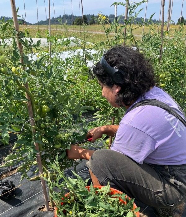 Tara_Sun_Moon_Fields_2