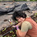 Farmer working in hoop house