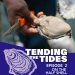 Tending-the-Tides_EP02-cover_web