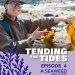 Tending-the-Tides_EP04-cover_web