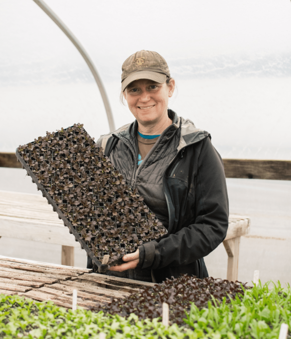 full cellar_header alt 3