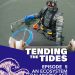 Tending-the-Tides_EP05-cover_web