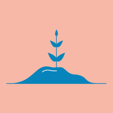 illustration, pink background with blue plant growing