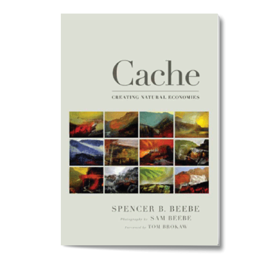 Book cover, Cache