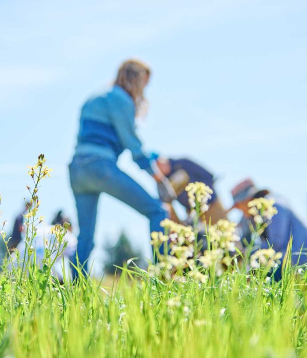 staff_volunteer_day_blur_web