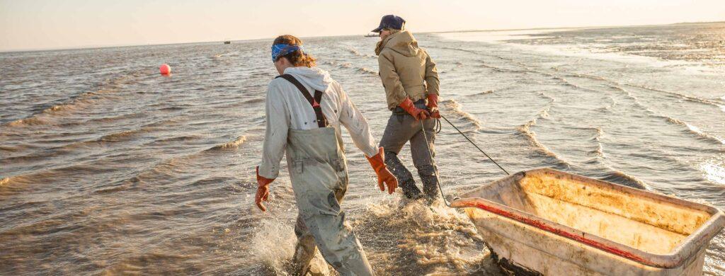 Two women fisherman haul a net through shin-deep water of Bristol Bay.