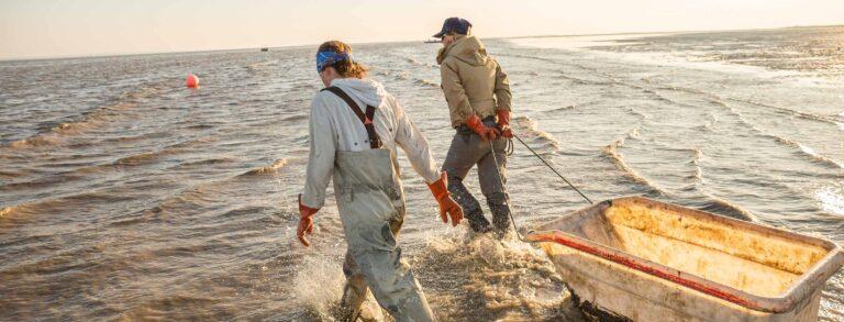 Two women fisherman haul a net through shin-deep water of Bristol Bay.