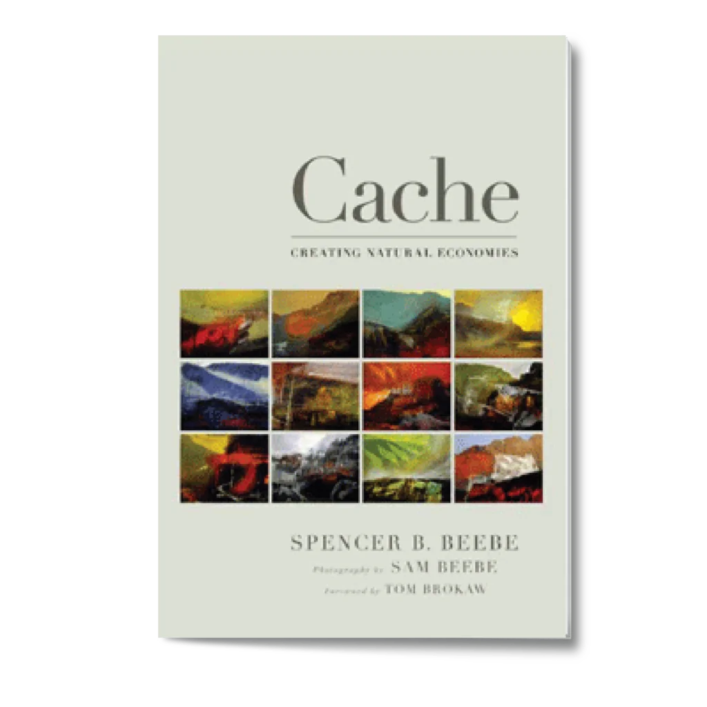 Book cover, Cache