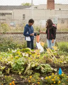 Two students converse in a school garden