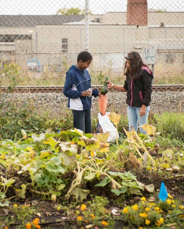 Two students converse in a school garden