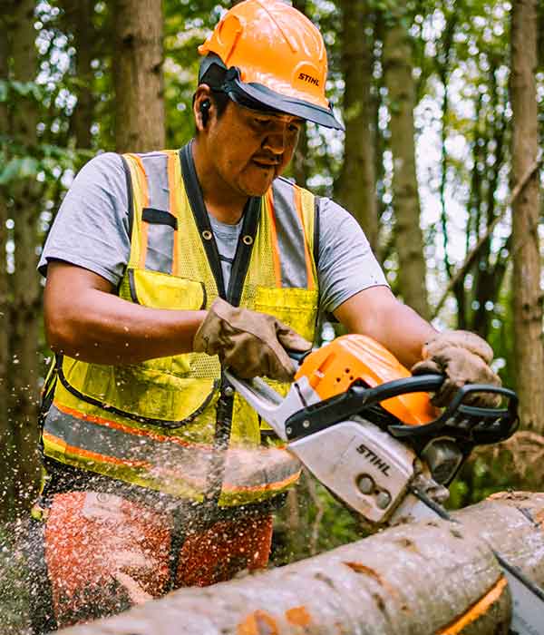 A photo of a person cutting into a log with a chainsaw