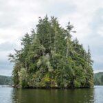 tree-filled tiny island in a calm waterway, cloudy sky